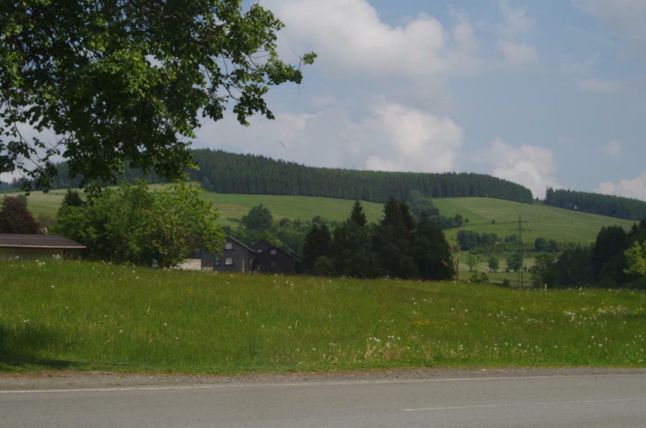 Das Gelbe Haus 1 * Winterberg